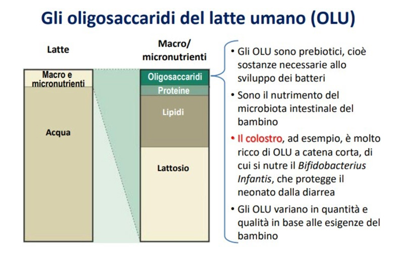 latte materno